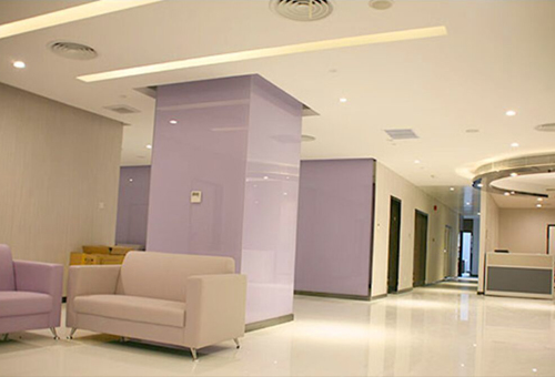 Caritas Medical Centre 